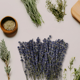 Flat lay of dried lavender flowers surrounded by assorted herbs like thyme, sage, and fennel seeds, perfect for cocktails, tea blends, and culinary or aromatic use